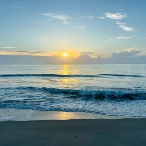 Meet your Posher, Miranda